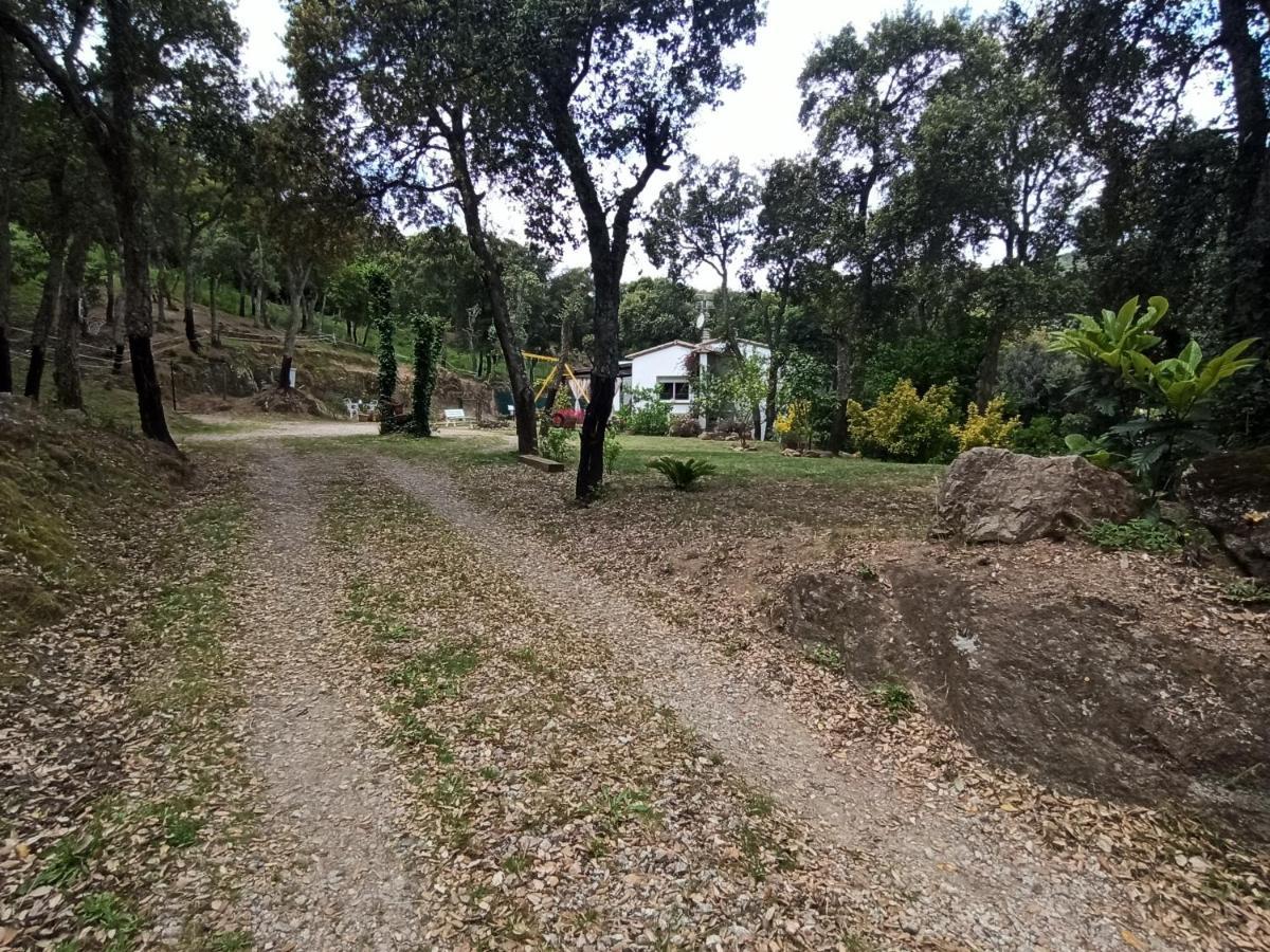 Chalet En Entorno Natural De La Costa Brava Bell-Lloc  ภายนอก รูปภาพ